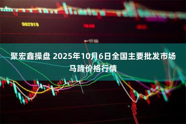 聚宏鑫操盘 2025年10月6日全国主要批发市场马蹄价格行情