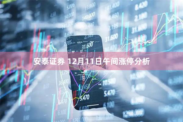 安泰证券 12月11日午间涨停分析