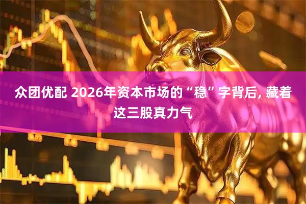 众团优配 2026年资本市场的“稳”字背后, 藏着这三股真力气